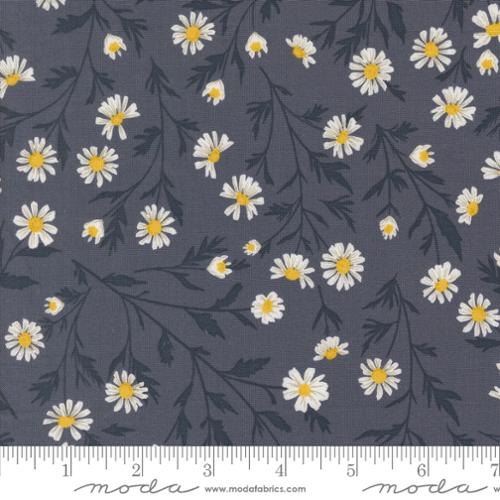 Sun-Drenched by Sweetfire Road – Happy Little Stitch Shop