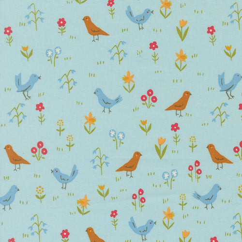 COMING SOON - Animal Park Fun Bird Park Water by Stacy Iest Hsu
