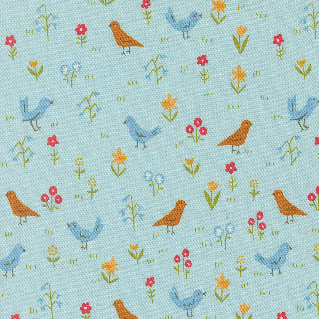 COMING SOON - Animal Park Fun Bird Park Water by Stacy Iest Hsu
