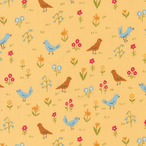 COMING SOON - Animal Park Fun Bird Park Banana by Stacy Iest Hsu