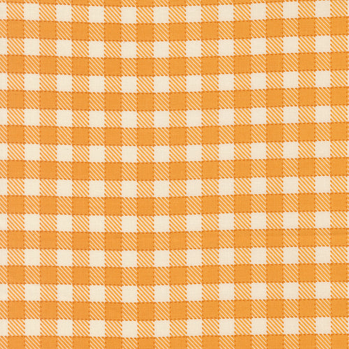 COMING SOON - Animal Park Fun Baby Plaid Canary by Stacy Iest Hsu