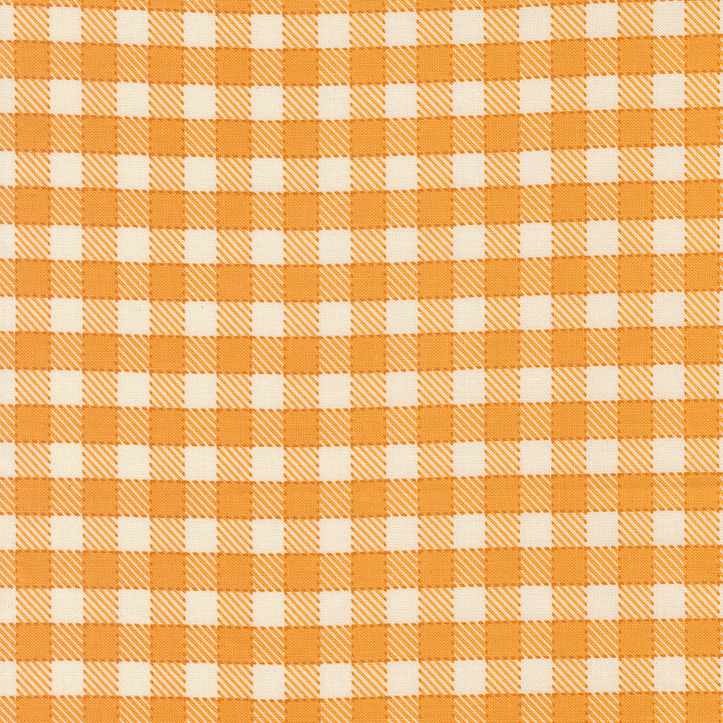 COMING SOON - Animal Park Fun Baby Plaid Canary by Stacy Iest Hsu