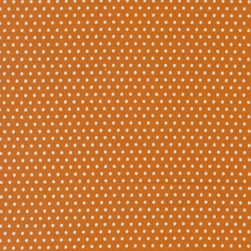 COMING SOON - Animal Park Fun Dots Tiger by Stacy Iest Hsu