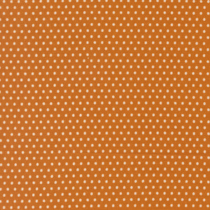 COMING SOON - Animal Park Fun Dots Tiger by Stacy Iest Hsu