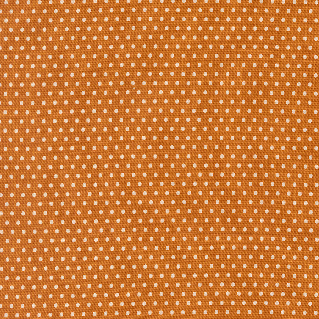 COMING SOON - Animal Park Fun Dots Tiger by Stacy Iest Hsu