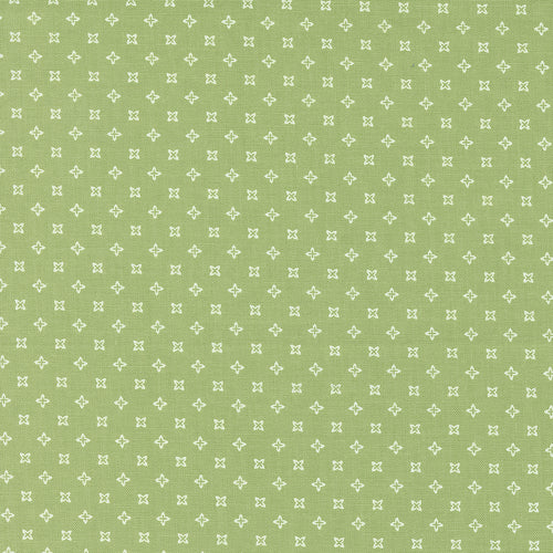 Peachy Keen - Seeds Fern by Corey Yoder