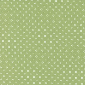 Peachy Keen - Seeds Fern by Corey Yoder