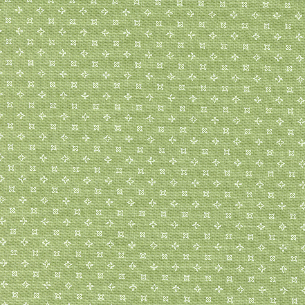 Peachy Keen - Seeds Fern by Corey Yoder