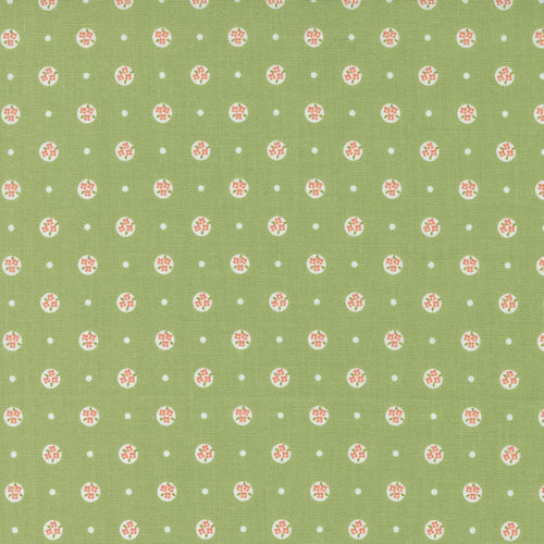 Peachy Keen - Posy Polka Fern by Corey Yoder