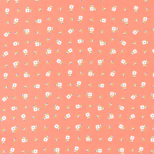 Peachy Keen - Pixie Coral by Corey Yoder