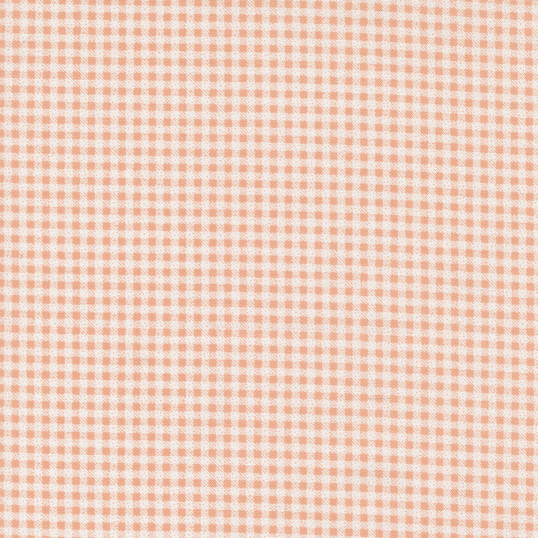 Peachy Keen - Gingham Peach by Corey Yoder