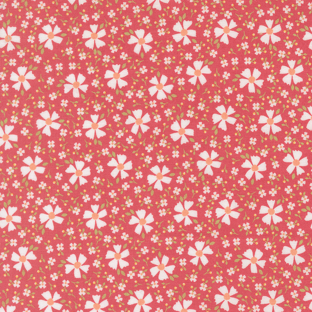 COMING SOON - In The Garden Bloom and Blossom Strawberry by Corey Yoder