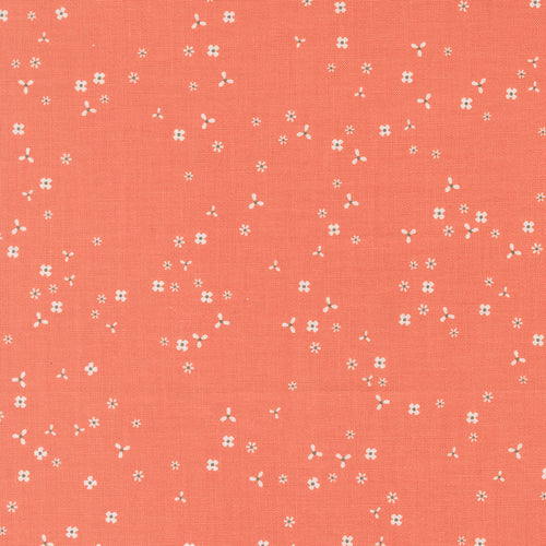 COMING SOON - In The Garden Flutter Floral Coral by Corey Yoder
