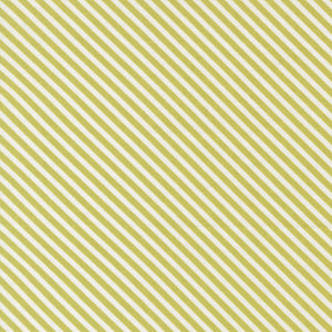 COMING SOON - In The Garden Stripes Pistachio by Corey Yoder