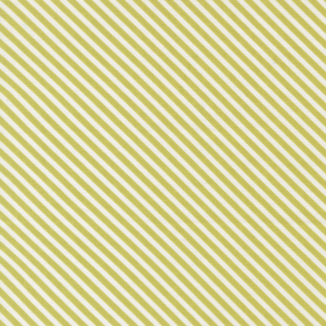 COMING SOON - In The Garden Stripes Pistachio by Corey Yoder