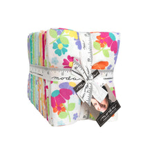 Load image into Gallery viewer, RESERVATION - Joysome Fat Quarter Bundle by Corey Yoder