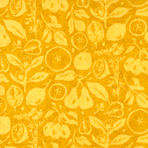 Fruit Loop - Sun Dried Novelty Fruit Sunshine by Basic Grey