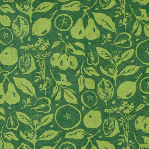 Fruit Loop - Sun Dried Novelty Fruit Grass by Basic Grey