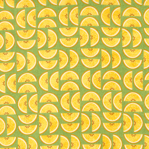 Fruit Loop - Candied Novelty Fruit Kiwi by Basic Grey
