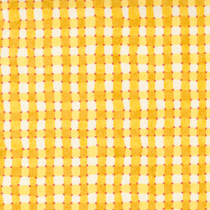 Fruit Loop - Gingham Sunshine by Basic Grey