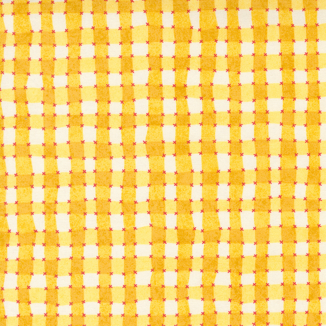 Fruit Loop - Gingham Sunshine by Basic Grey