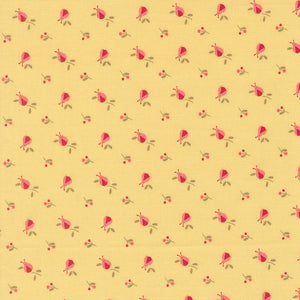 COMING SOON - Lyda Rose Ladybugs Sunwashed by Bunny Hill Designs