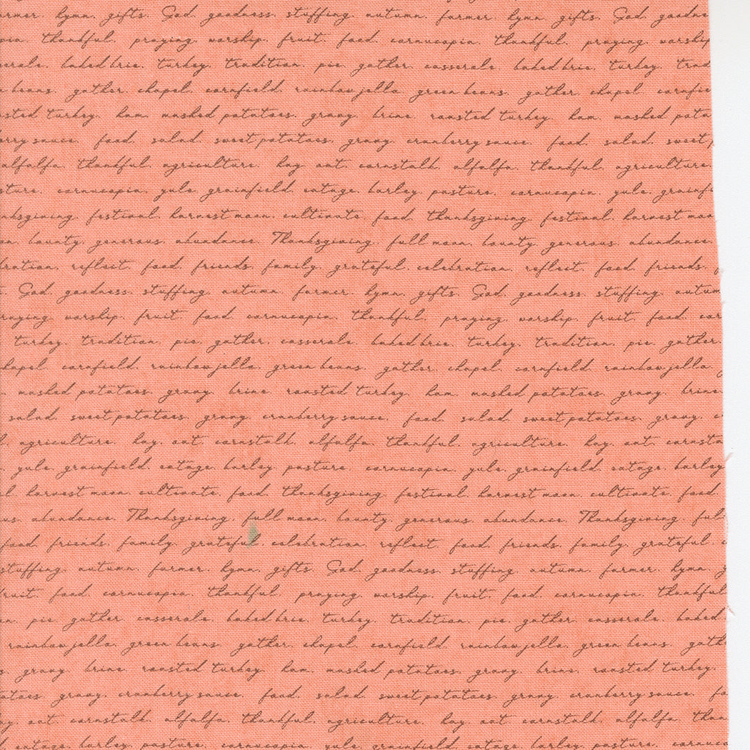 Acorn Hollow Script Apple by BasicGrey