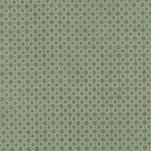 Acorn Hollow Geometric Dots Eucalyptus by BasicGrey