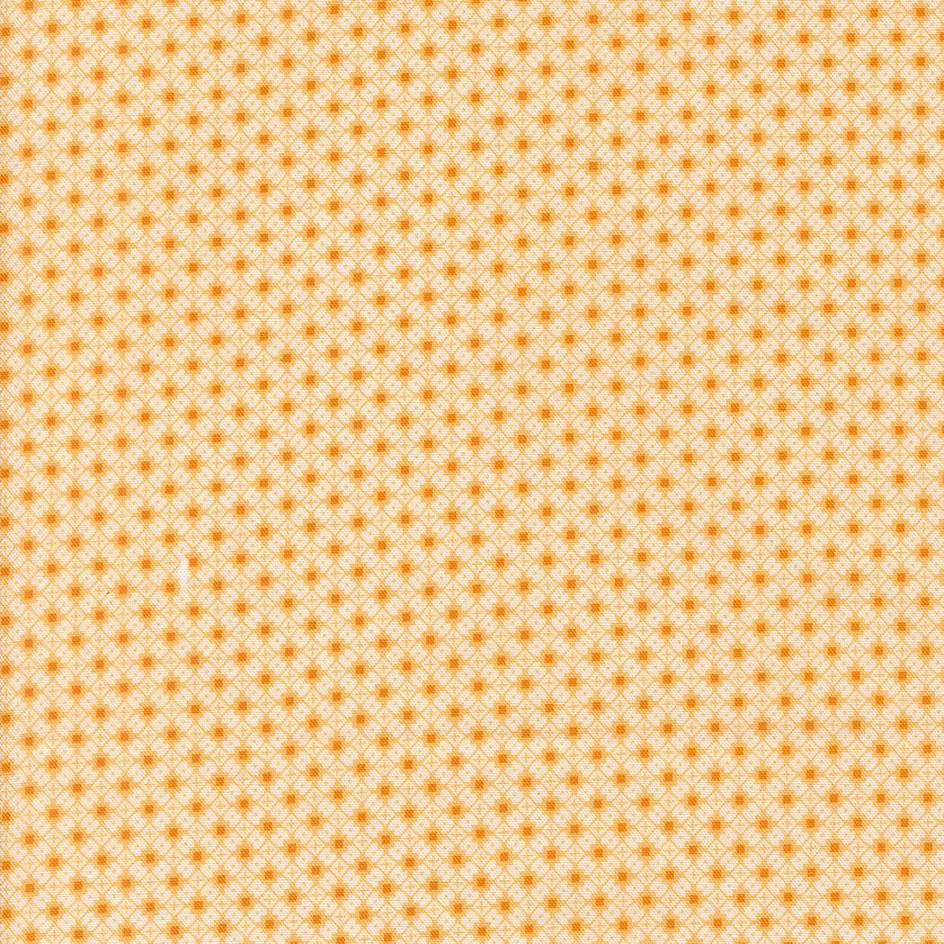 Sally's Stitches 1840-1860 Crisscross Honey by Betsy Chutchian