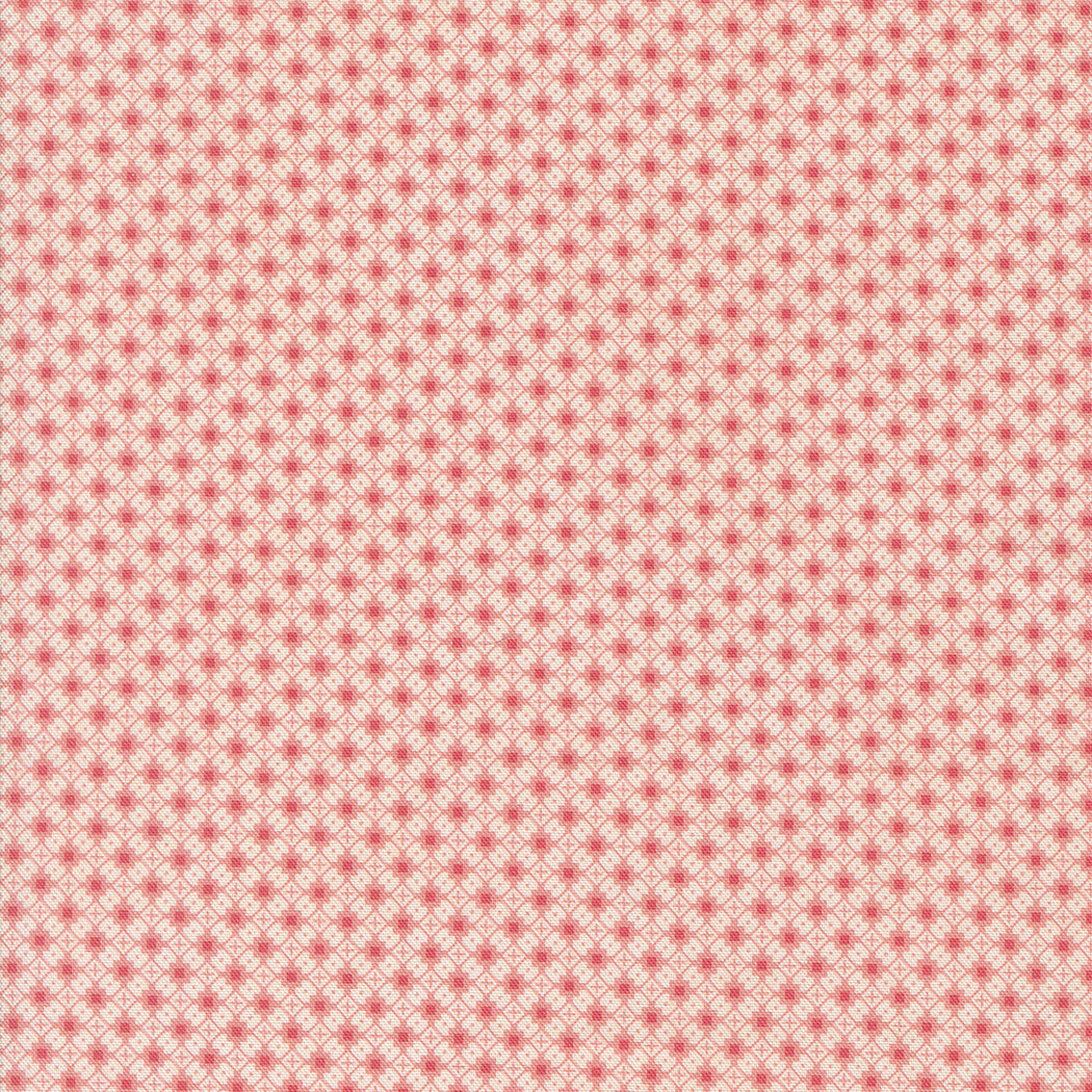Sally's Stitches 1840-1860 Crisscross Sweet Pink by Betsy Chutchian