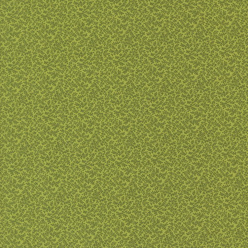 COMING SOON - Sally's Stitches 1840-1860 Wandering Vines New Leaf by Betsy Chutchian