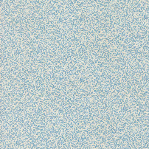 COMING SOON - Sally's Stitches 1840-1860 Wandering Vines Blue Sky by Betsy Chutchian