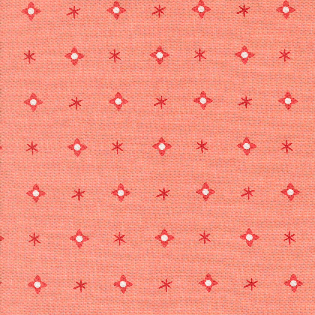 Tiny Christmas Christmas Star Carnation by Lizzy House