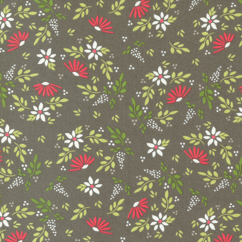 Favorite Things Amaryllis Charcoal by Sherri and Chelsi