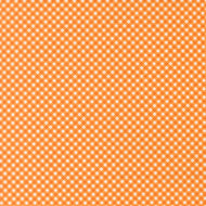 Birch and Willow Quilting Cuddle Gingham Amber by Sherri and Chelsi