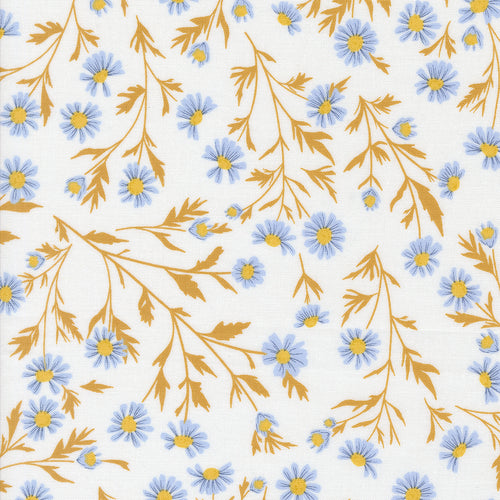 COMING SOON - Sun-Drenched Wild Daisies Cloud by Sweetfire Road Designs