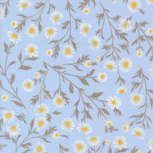 COMING SOON - Sun-Drenched Wild Daisies Sky by Sweetfire Road Designs