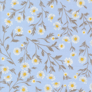 COMING SOON - Sun-Drenched Wild Daisies Sky by Sweetfire Road Designs