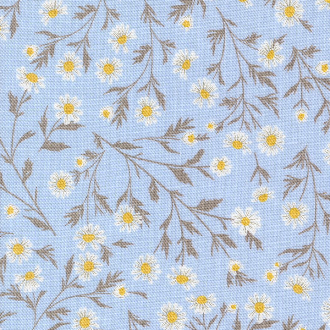 COMING SOON - Sun-Drenched Wild Daisies Sky by Sweetfire Road Designs