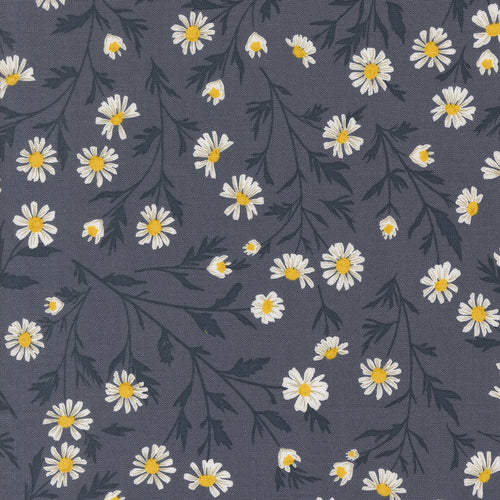 COMING SOON - Sun-Drenched Wild Daisies Indigo by Sweetfire Road Designs