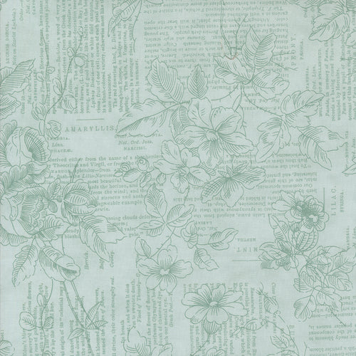 Muse Poetry of Flowers Sky by 3 Sisters
