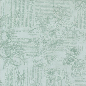 Muse Poetry of Flowers Sky by 3 Sisters