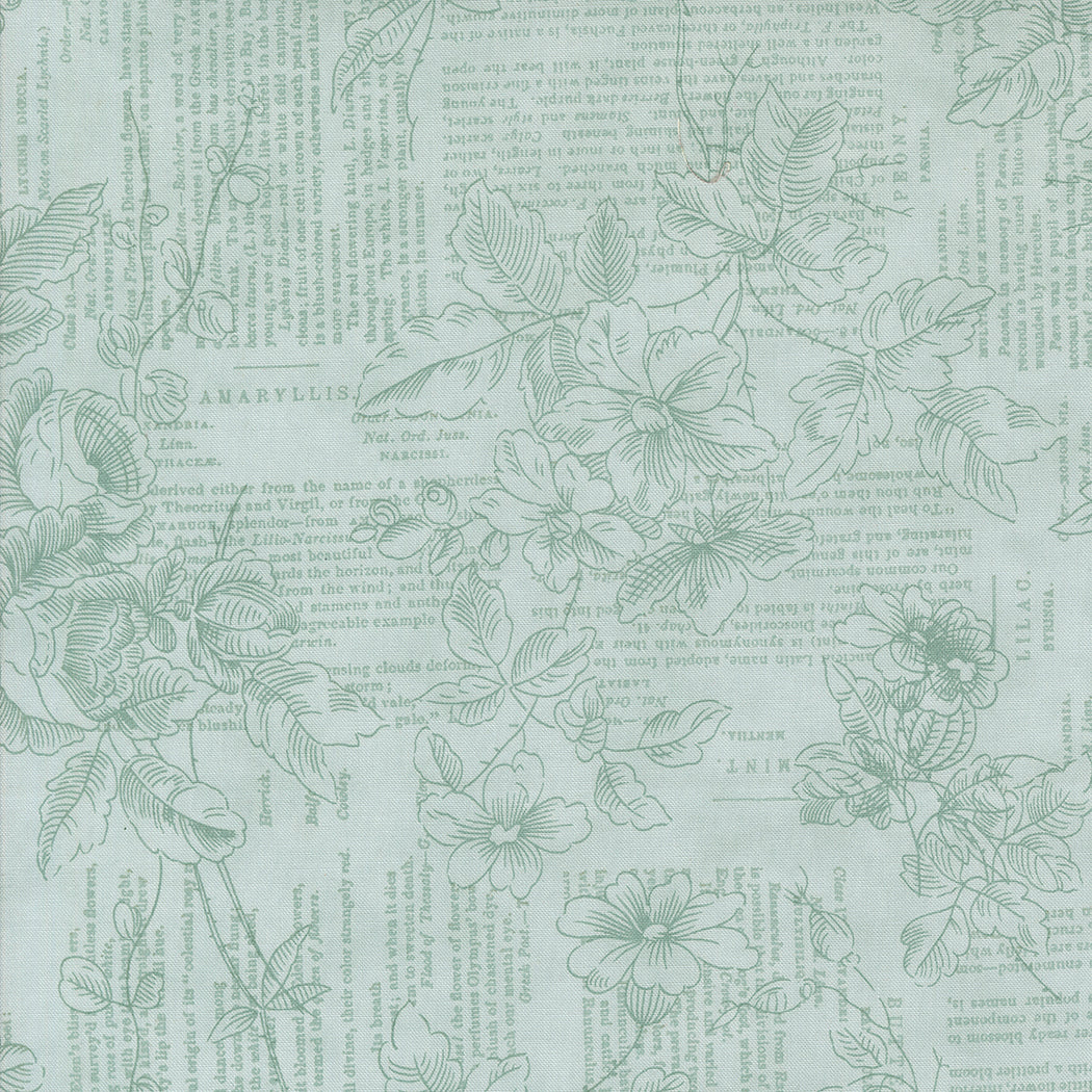Muse Poetry of Flowers Sky by 3 Sisters