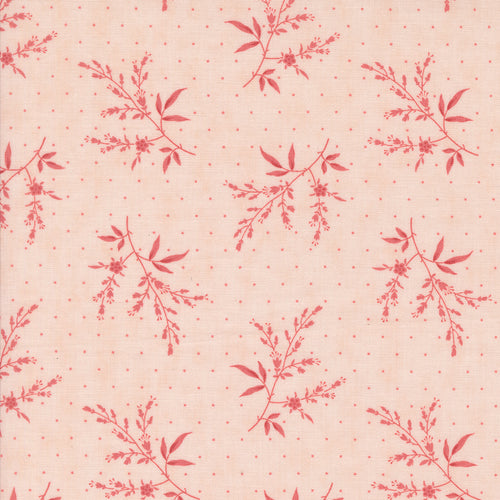 Muse Flower Silhouette Blush by 3 Sisters