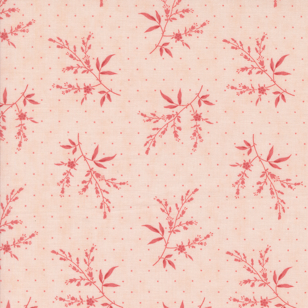 Muse Flower Silhouette Blush by 3 Sisters