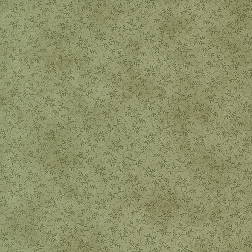COMING SOON - Ambiance Vines Eucalyptus by 3 Sisters