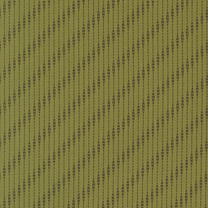 Collections for a Cause - Unity Moire Stripes Fern by Howard Marcus