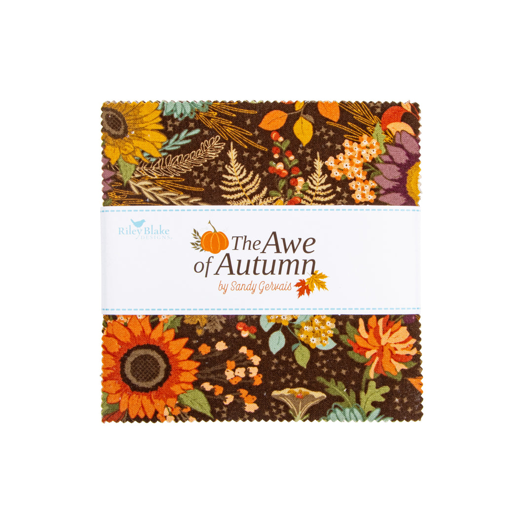 The Awe of Autumn 5