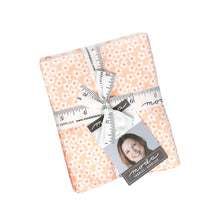 Load image into Gallery viewer, RESERVATION - Popcorn Fat Quarter Bundle by Elizabeth Hartman
