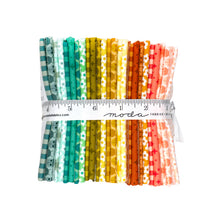 Load image into Gallery viewer, RESERVATION - Popcorn Fat Quarter Bundle by Elizabeth Hartman